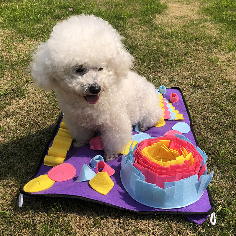 Dog sniffing and foraging in snuffle mat