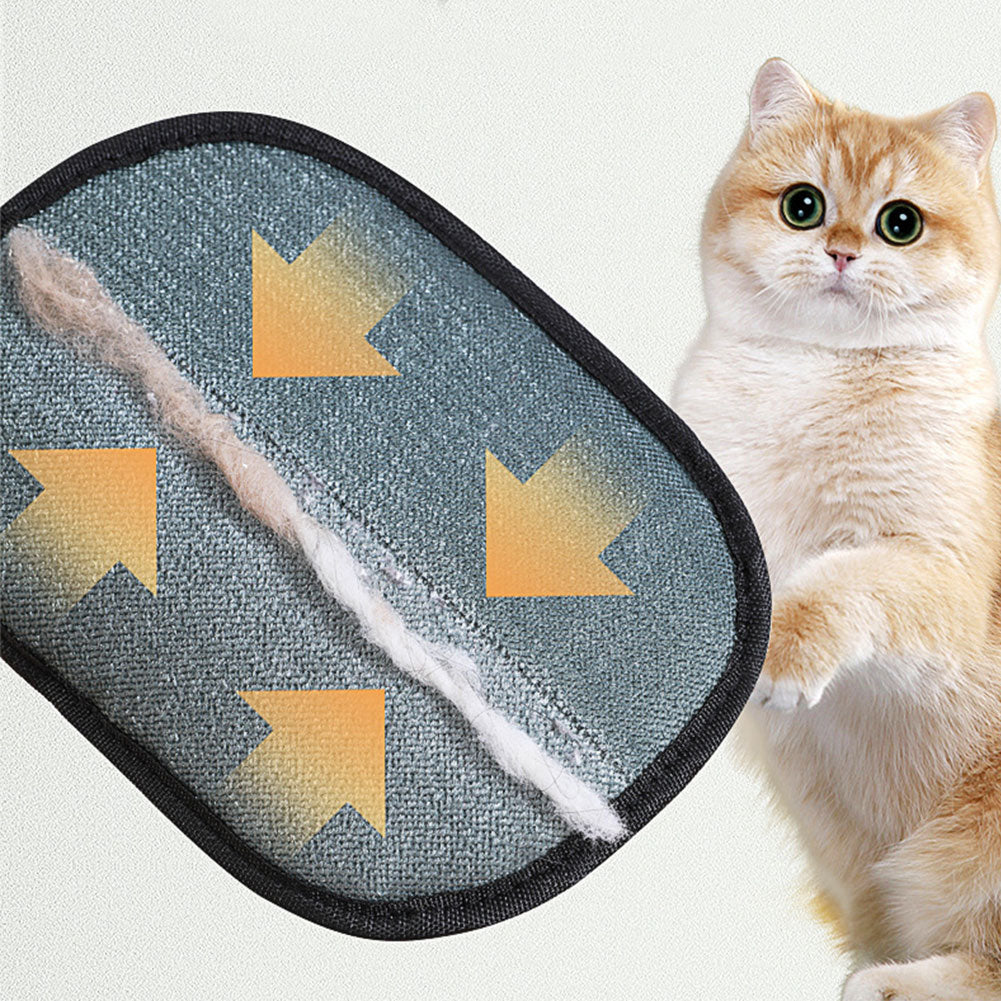 Deshedding glove used on a cat